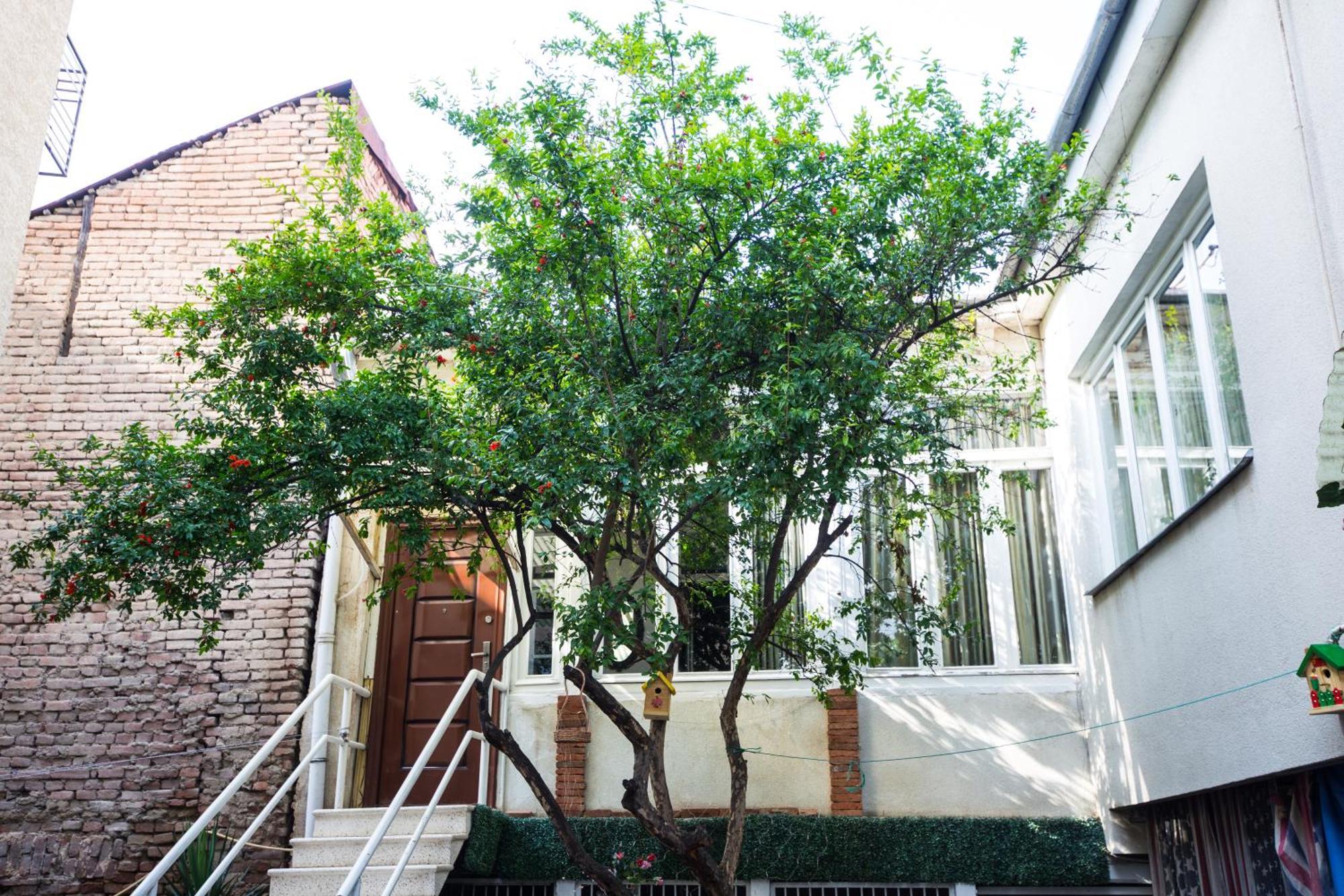 Sophie'S Garden Tbilisi Exterior foto